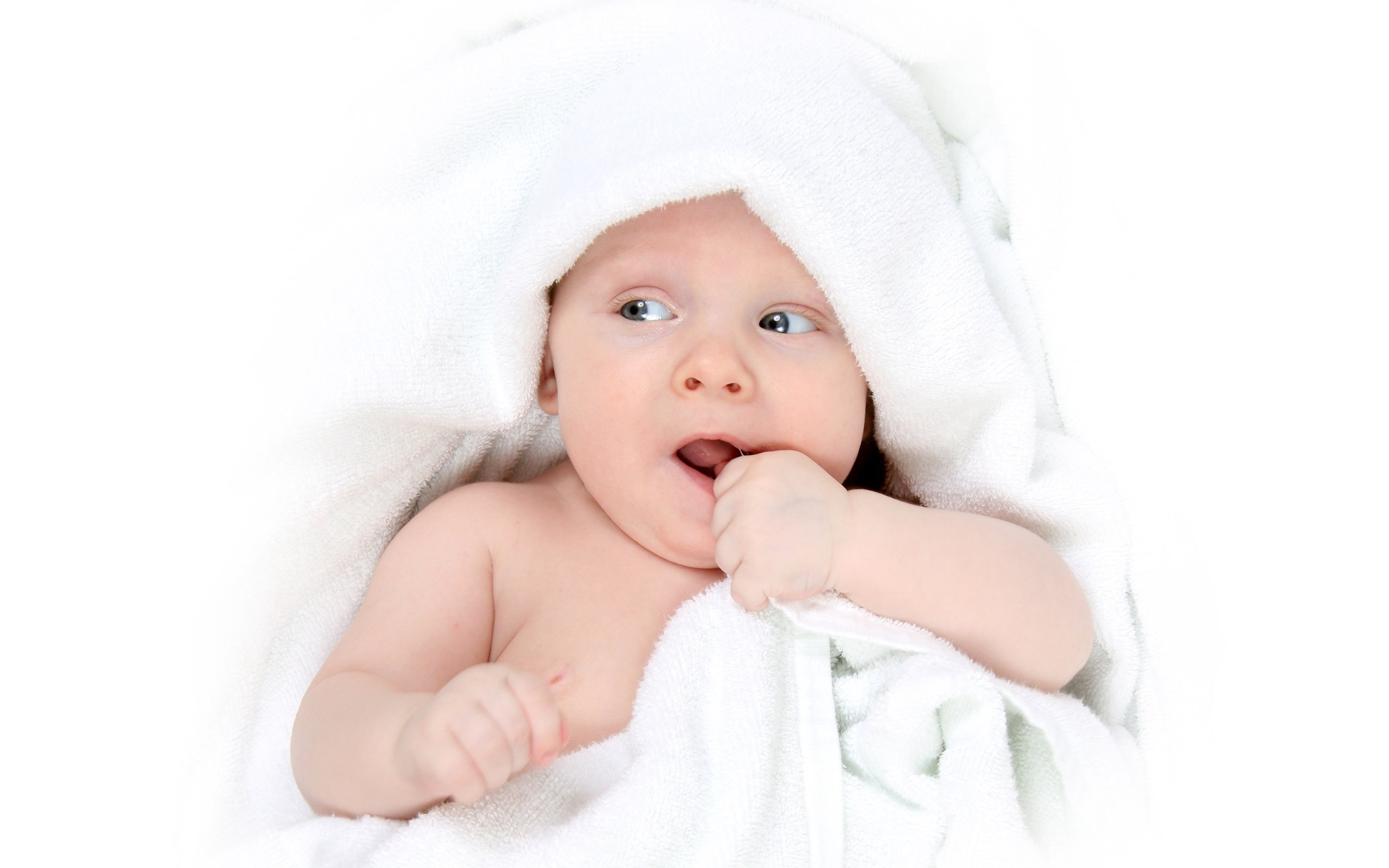 中山捐卵网在美国试管婴儿成功率